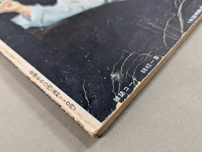 決定版ブルース・リー ヤングアイドルナウ臨時増刊号