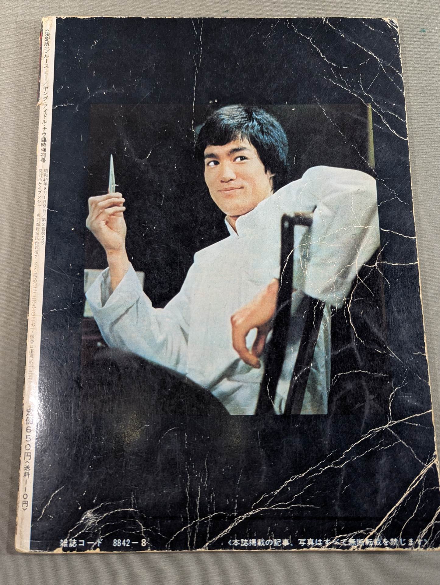 決定版ブルース・リー ヤングアイドルナウ臨時増刊号