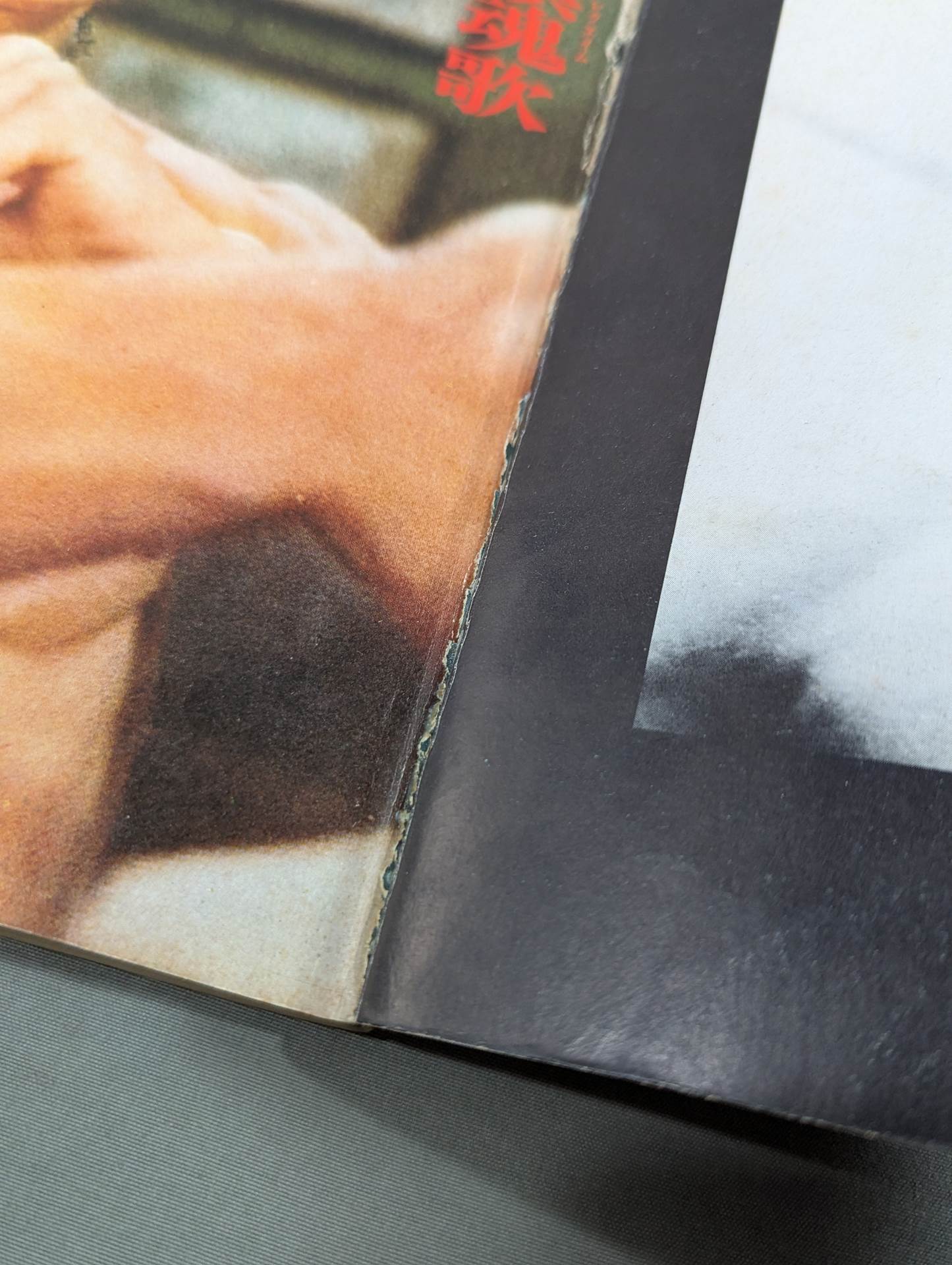 決定版ブルース・リー ヤングアイドルナウ臨時増刊号