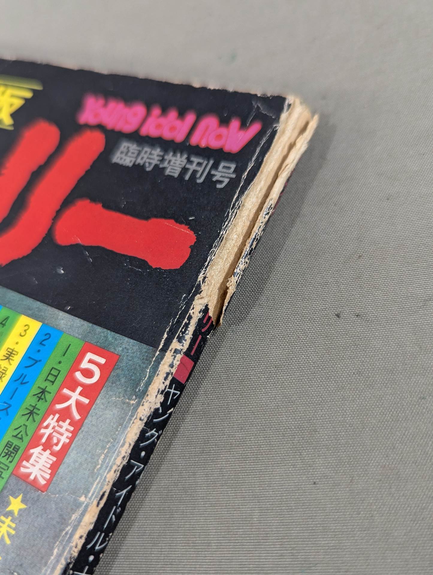 決定版ブルース・リー ヤングアイドルナウ臨時増刊号