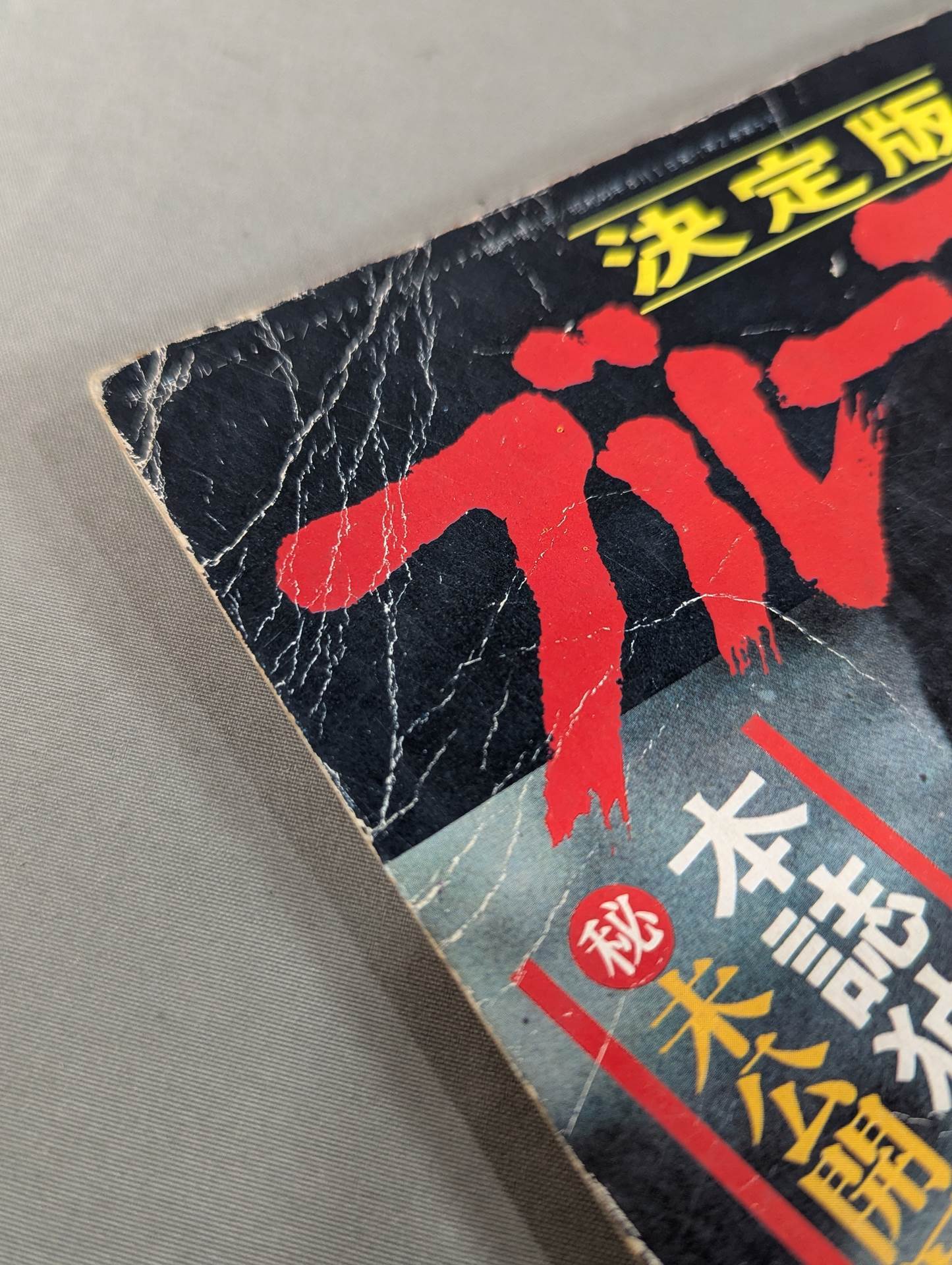 決定版ブルース・リー ヤングアイドルナウ臨時増刊号