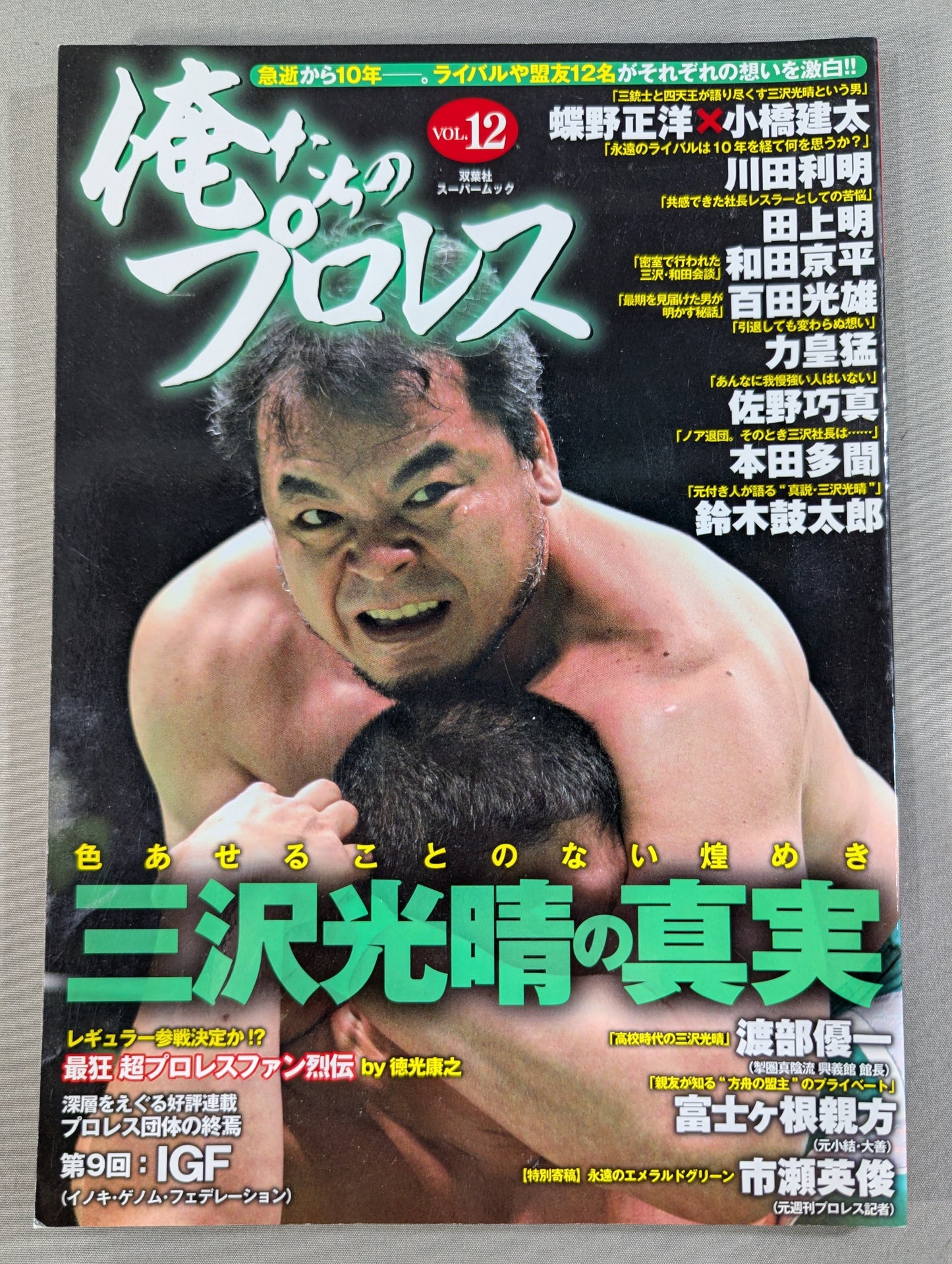 俺たちのプロレス VOL.12 三沢光晴の真実 急逝から10年―。ライバルや盟友12名がそれぞれの想いを激白!!