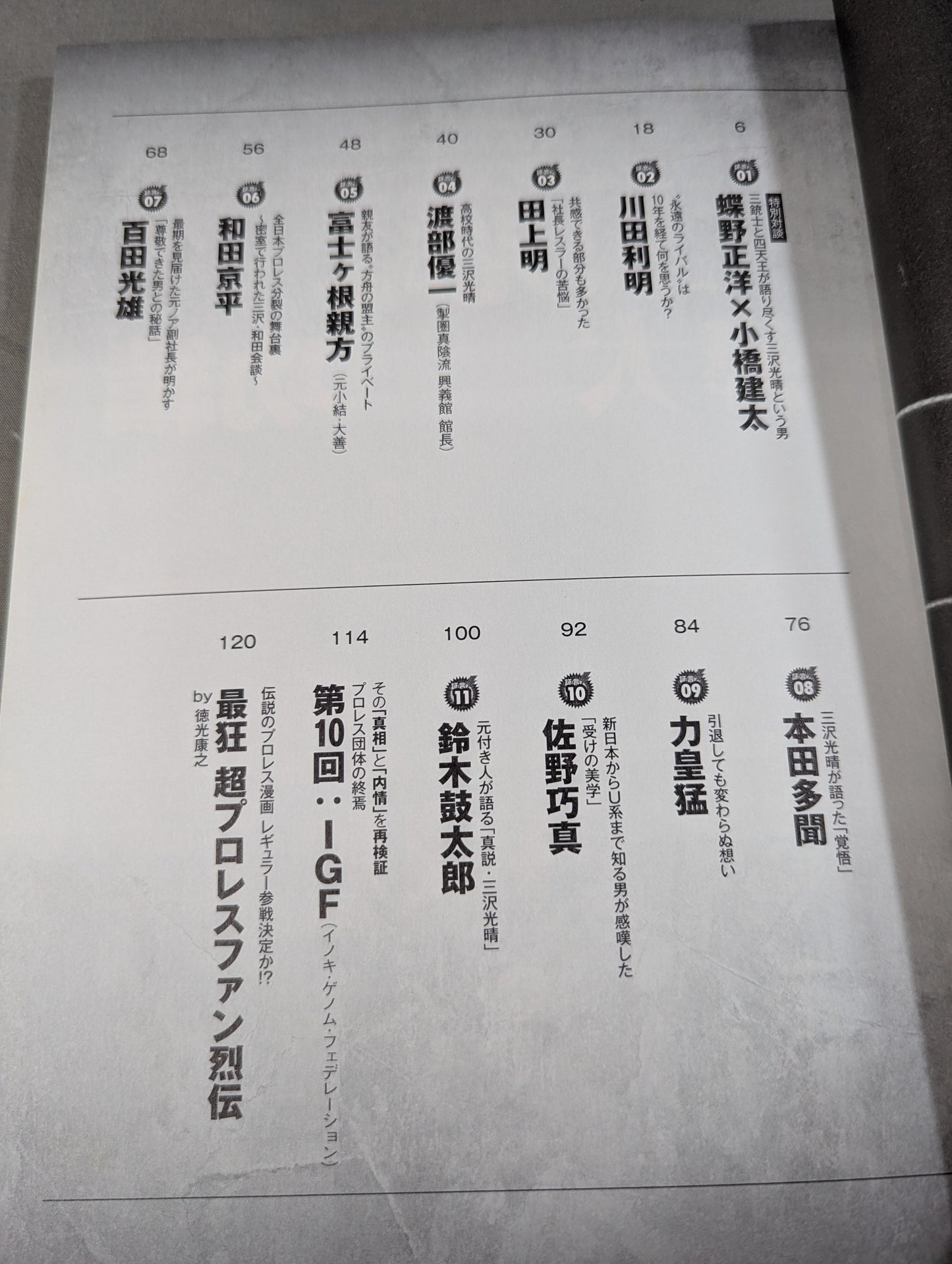 俺たちのプロレス VOL.12 三沢光晴の真実 急逝から10年―。ライバルや盟友12名がそれぞれの想いを激白!!