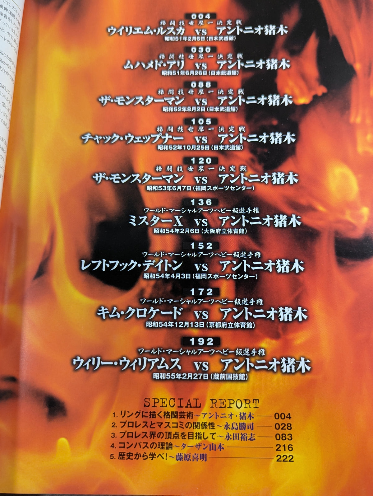 Burning Fighting Spirit New Japan Pro Wrestling Pro-wrestling 30th Anniversary Publication Project Official Reprint Pamphlet Series Martial Arts World Championship Fight