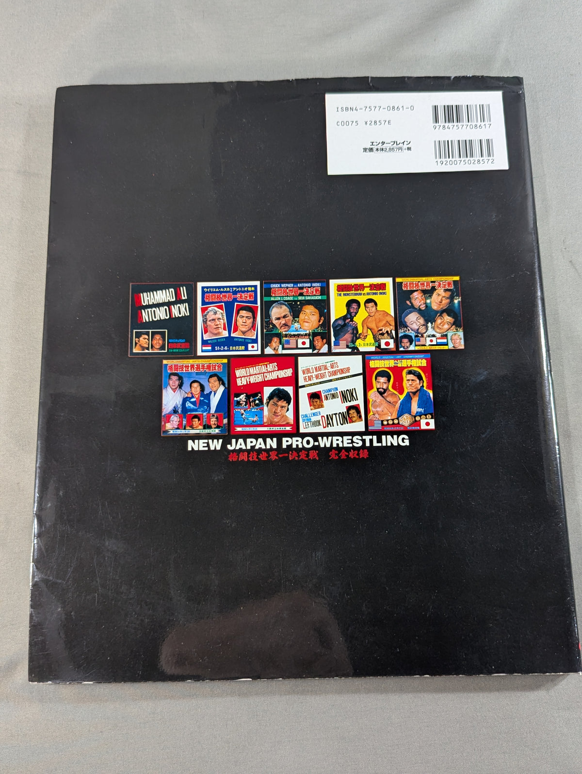 Burning Fighting Spirit New Japan Pro Wrestling Pro-wrestling 30th Anniversary Publication Project Official Reprint Pamphlet Series Martial Arts World Championship Fight