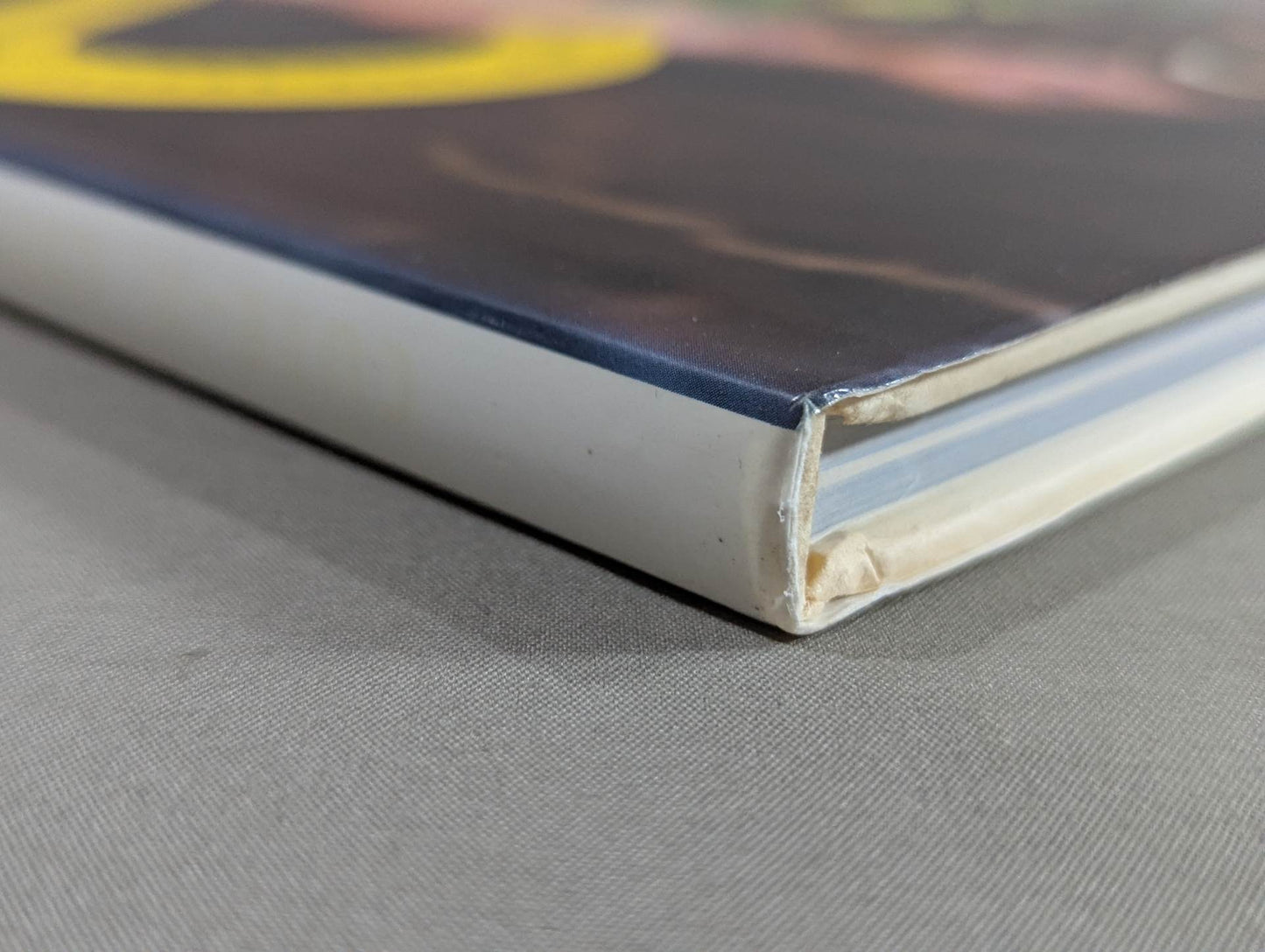 Cutie Suzuki photo collection Cute-2