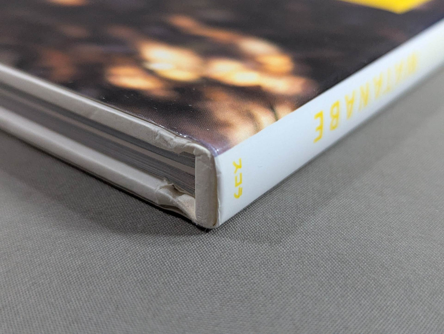 Cutie Suzuki photo collection Cute-2