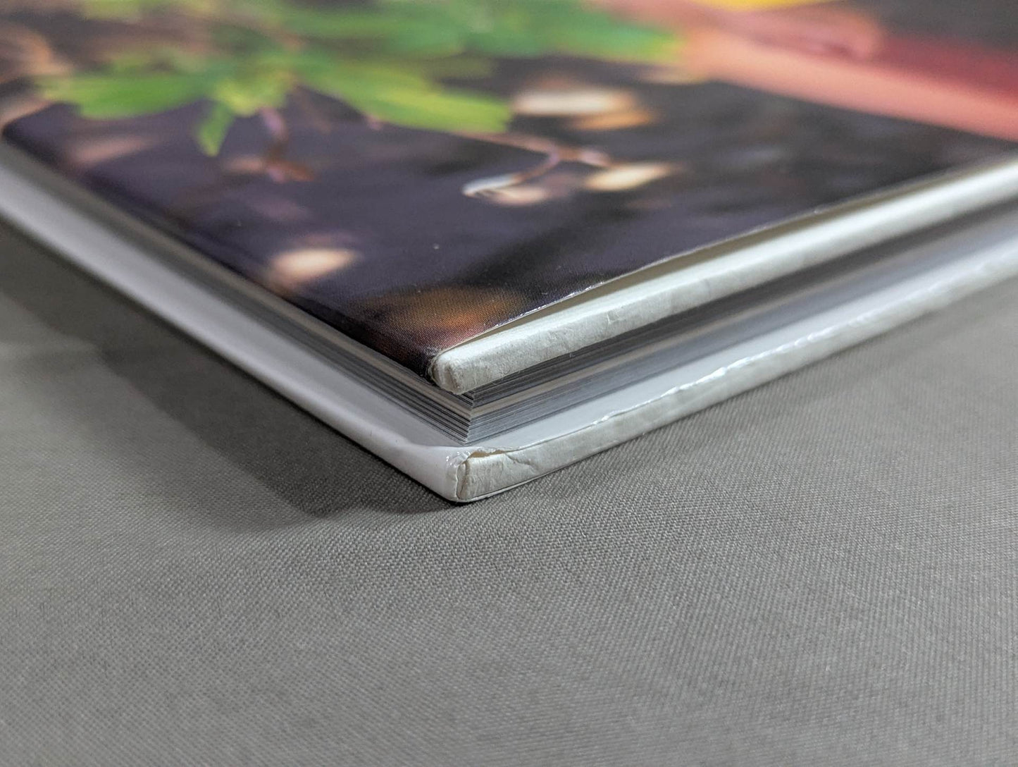 Cutie Suzuki photo collection Cute-2