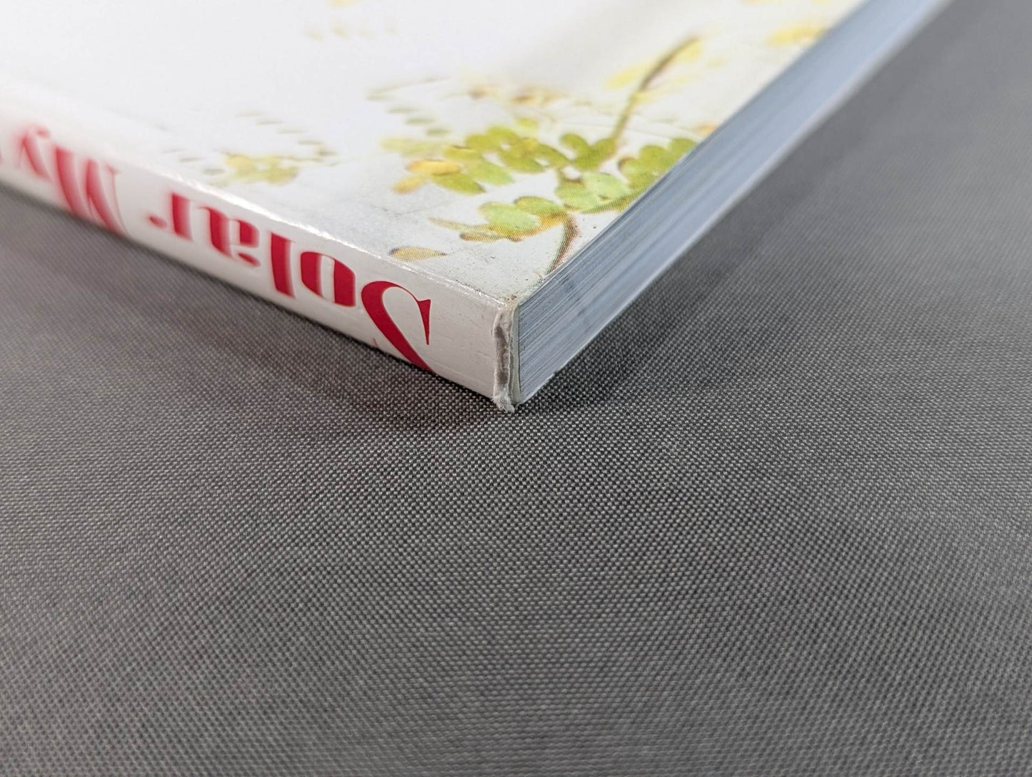 Cutie Suzuki, Irene & Erica photo collection Solar Myth