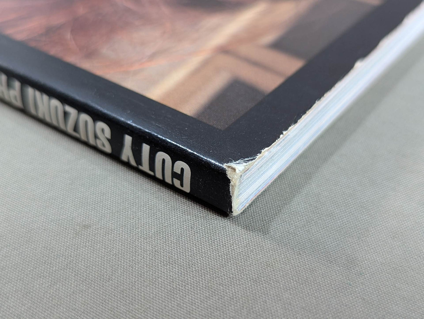 CUTY SUZUKI photo collection CUTY MANIA