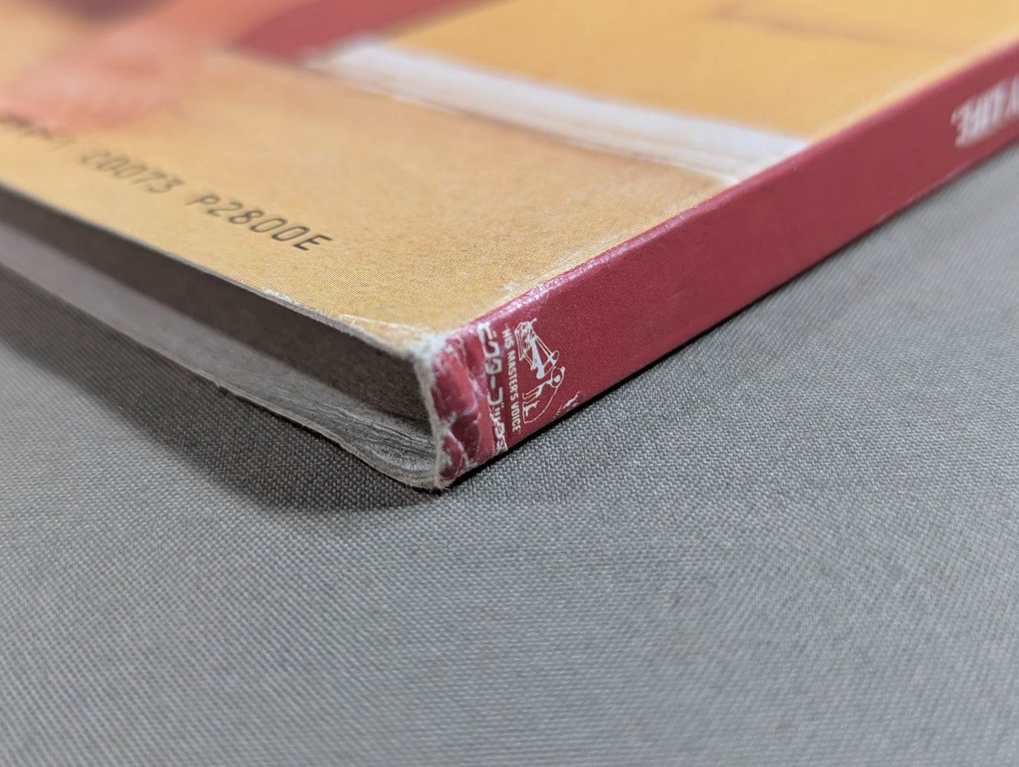 CUTY SUZUKI photo collection CUTY MANIA