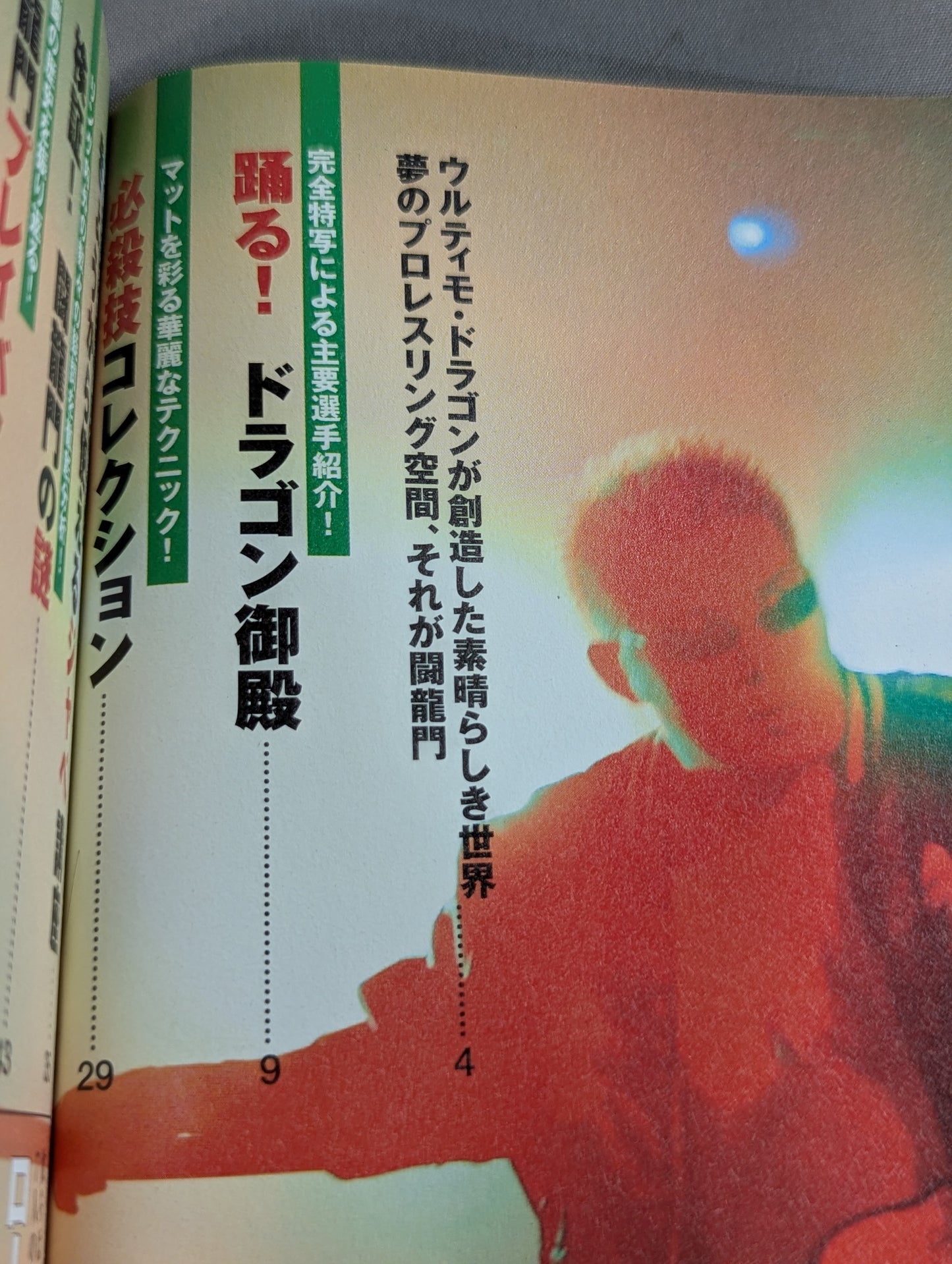 Toryumon  Encyclopedia