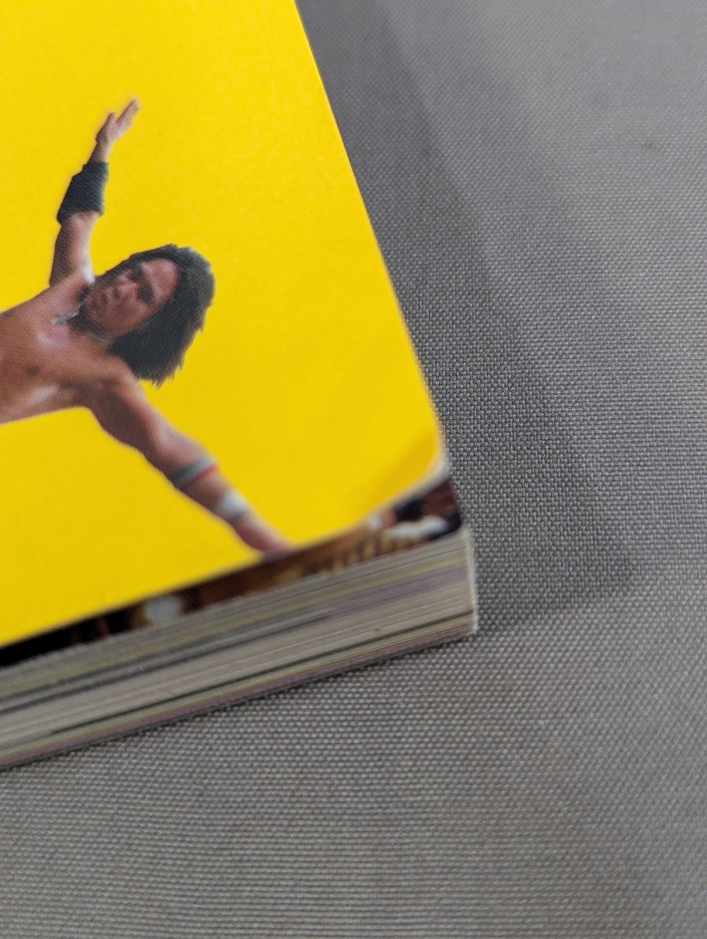 Toryumon  Encyclopedia