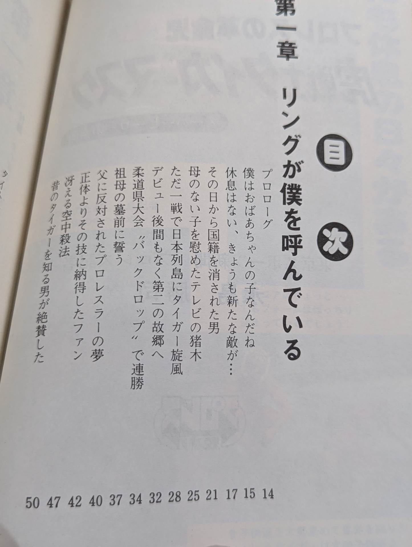 Tiger Warrior Tiger Mask The Real Face of a Superhero