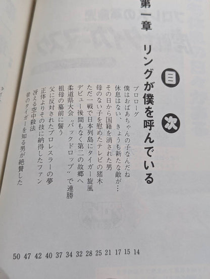 Tiger Warrior Tiger Mask The Real Face of a Superhero