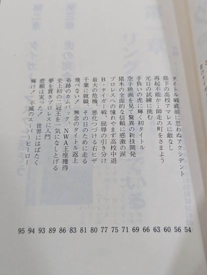 Tiger Warrior Tiger Mask The Real Face of a Superhero