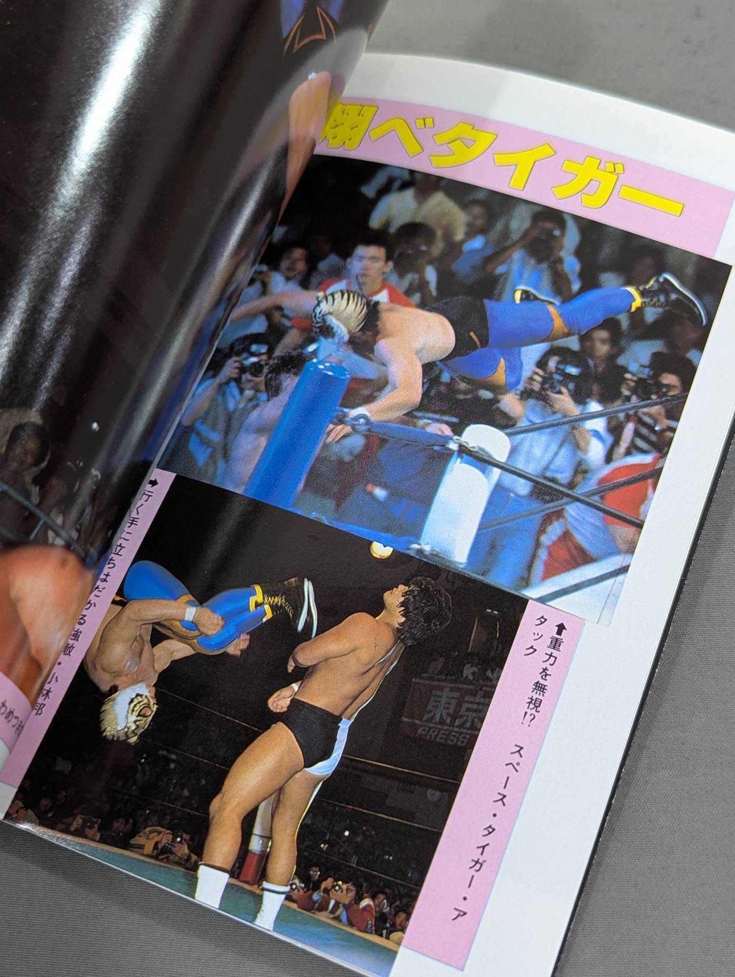 Tiger Warrior Tiger Mask The Real Face of a Superhero