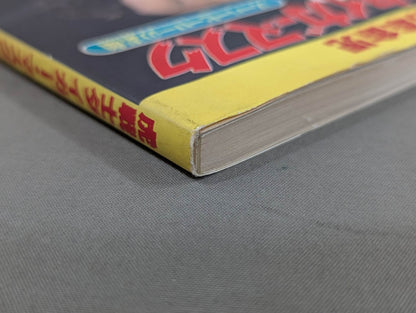 Tiger Warrior Tiger Mask The Real Face of a Superhero