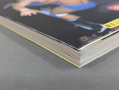 Tiger Warrior Tiger Mask The Real Face of a Superhero