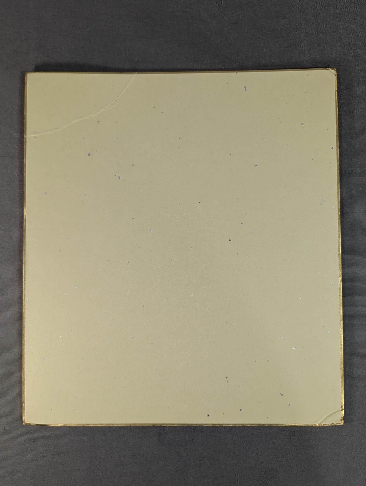 ★ Handprint Shikishi ( Autograph board ) & Limited photo by ★ Akari