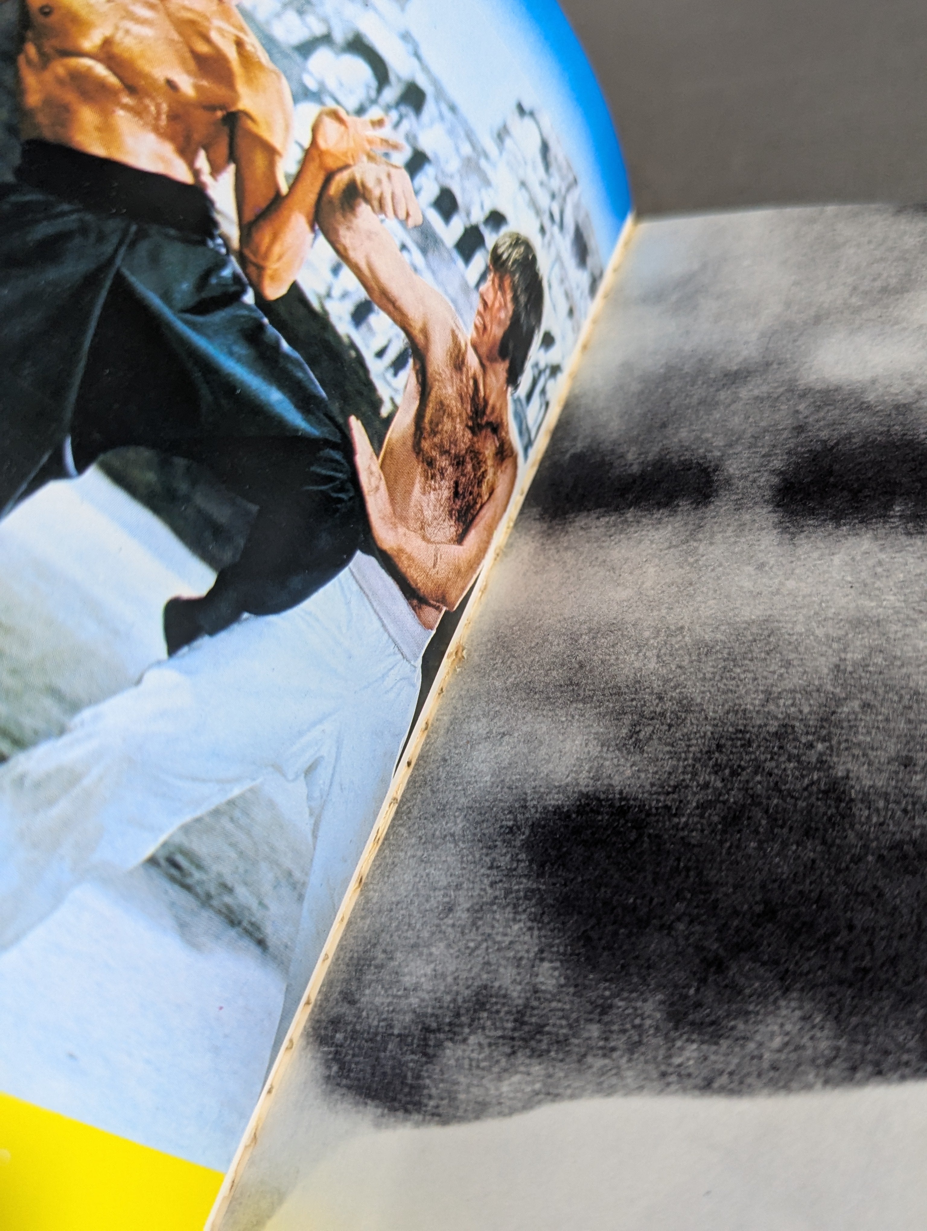 決定版 ブルース・リー アルバム – 闘道館