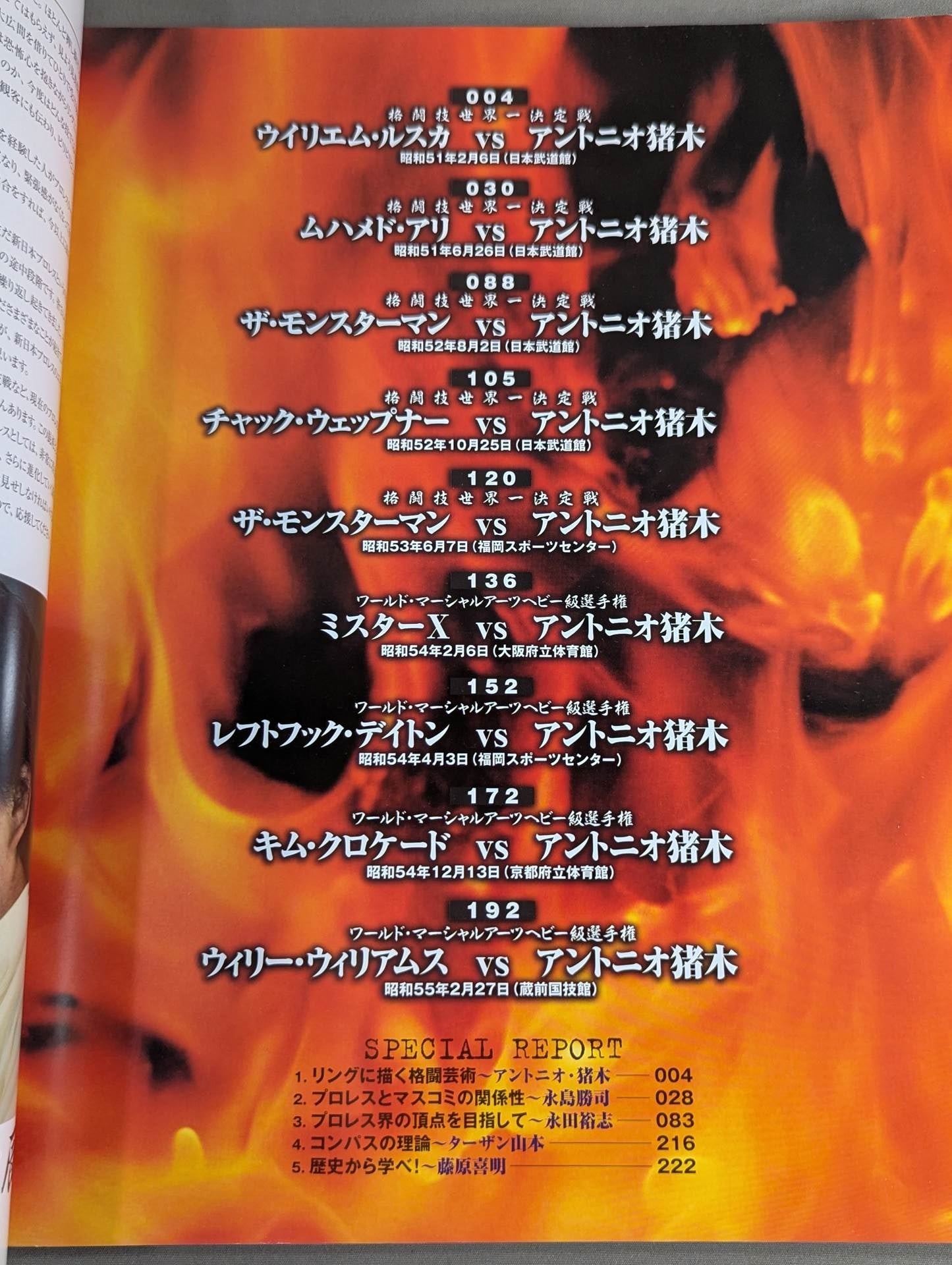 Burning Fighting Spirit New Japan Pro Wrestling Pro-wrestling 30th Anniversary Publication Project Official Reprint Pamphlet Series Martial Arts World Championship Fight