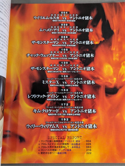 Burning Fighting Spirit New Japan Pro Wrestling Pro-wrestling 30th Anniversary Publication Project Official Reprint Pamphlet Series Martial Arts World Championship Fight