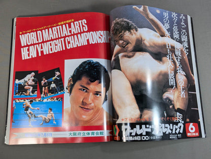Burning Fighting Spirit New Japan Pro Wrestling Pro-wrestling 30th Anniversary Publication Project Official Reprint Pamphlet Series Martial Arts World Championship Fight