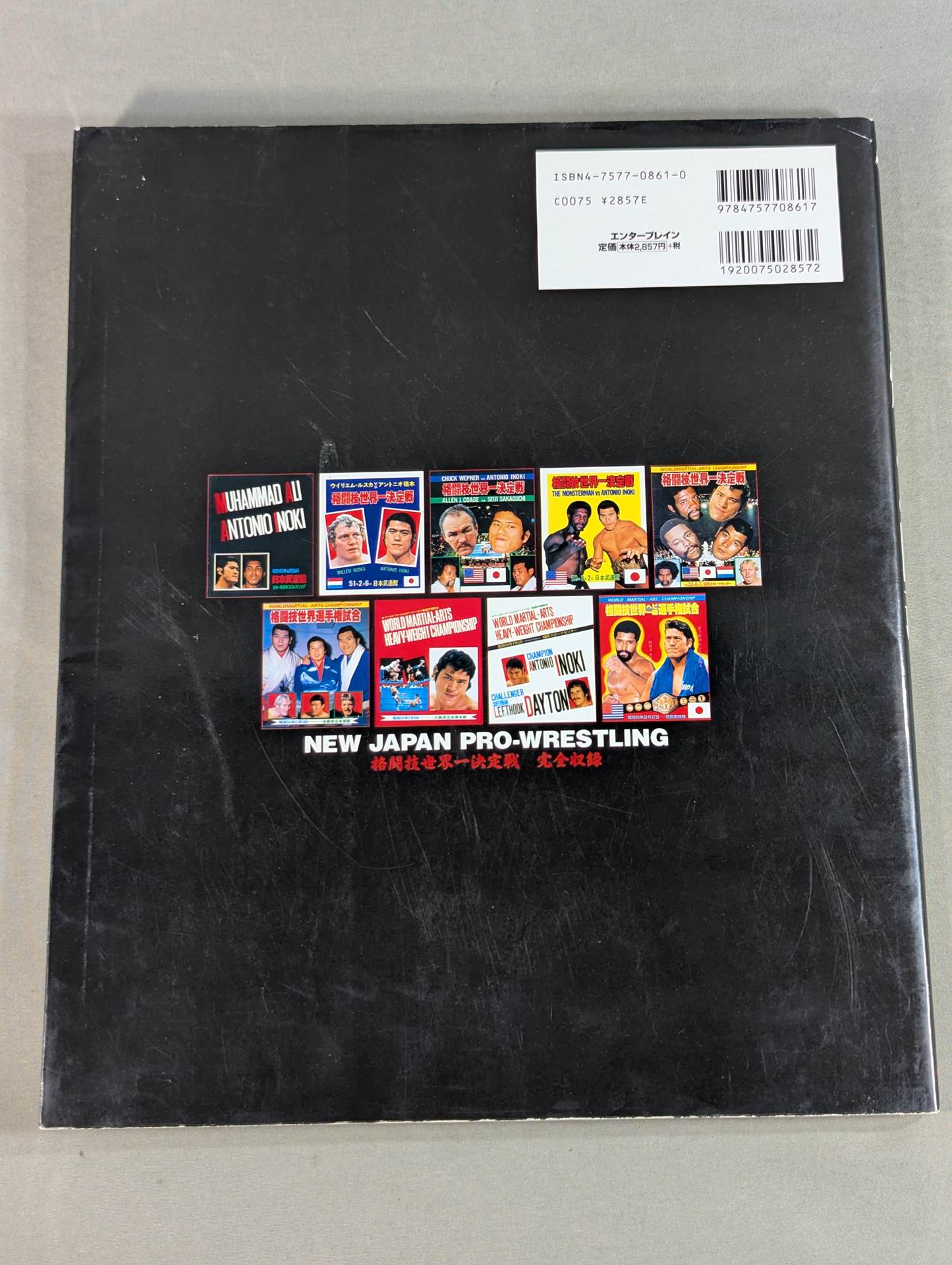 Burning Fighting Spirit New Japan Pro Wrestling Pro-wrestling 30th Anniversary Publication Project Official Reprint Pamphlet Series Martial Arts World Championship Fight