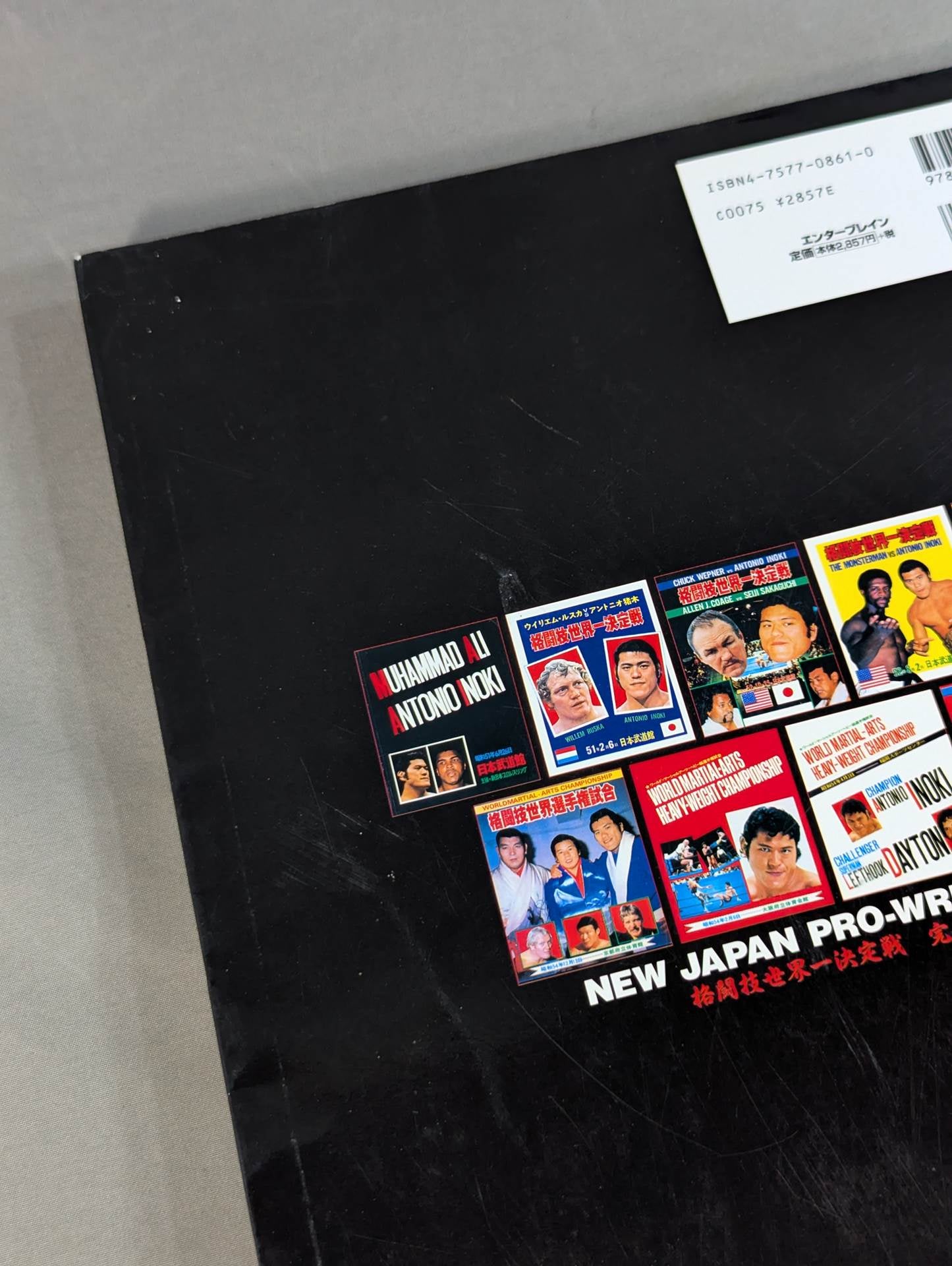 Burning Fighting Spirit New Japan Pro Wrestling Pro-wrestling 30th Anniversary Publication Project Official Reprint Pamphlet Series Martial Arts World Championship Fight