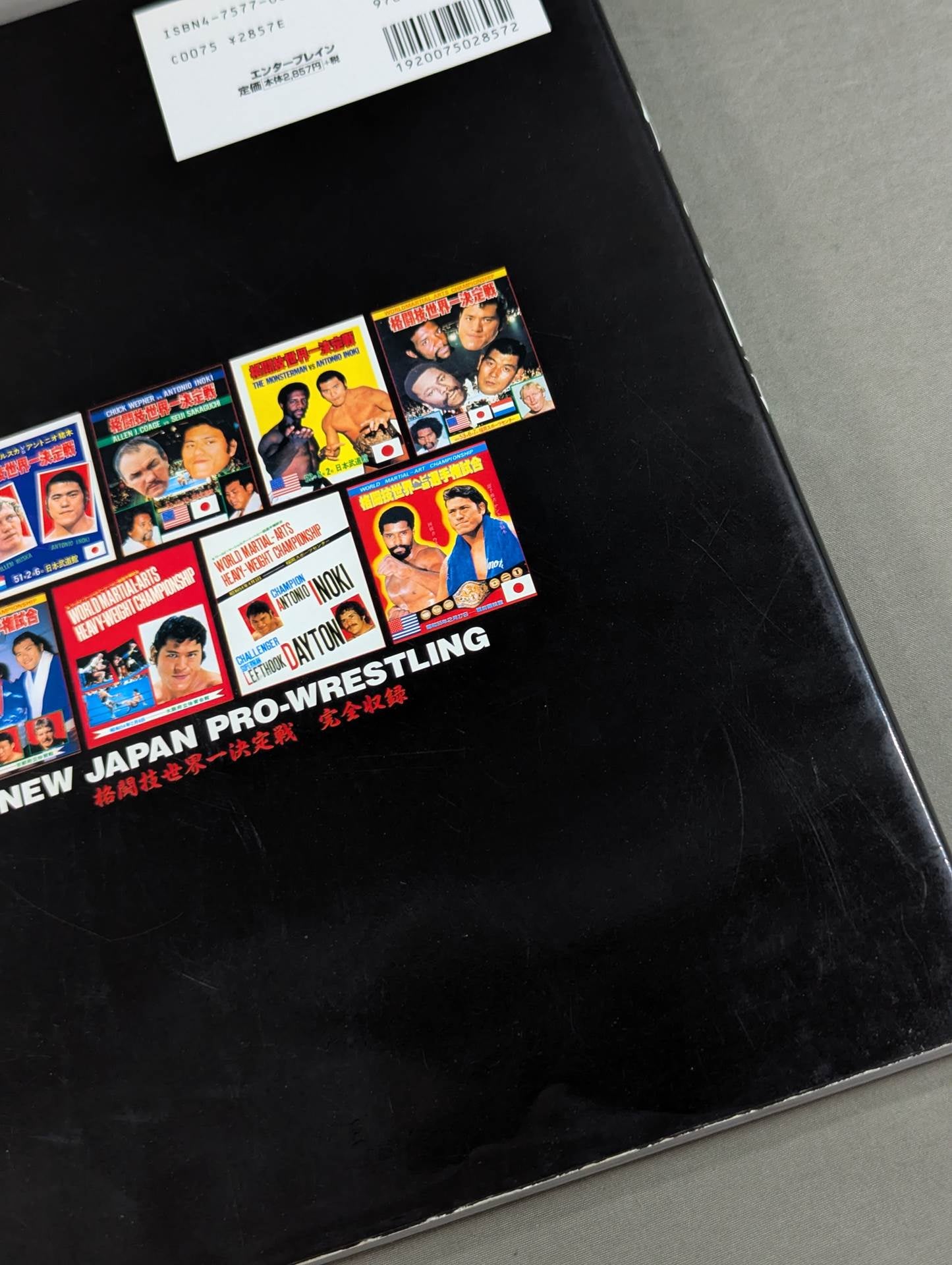 Burning Fighting Spirit New Japan Pro Wrestling Pro-wrestling 30th Anniversary Publication Project Official Reprint Pamphlet Series Martial Arts World Championship Fight