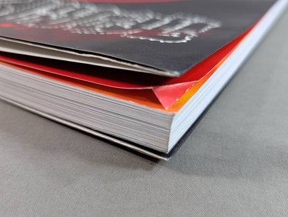 Burning Fighting Spirit New Japan Pro Wrestling Pro-wrestling 30th Anniversary Publication Project Official Reprint Pamphlet Series Martial Arts World Championship Fight