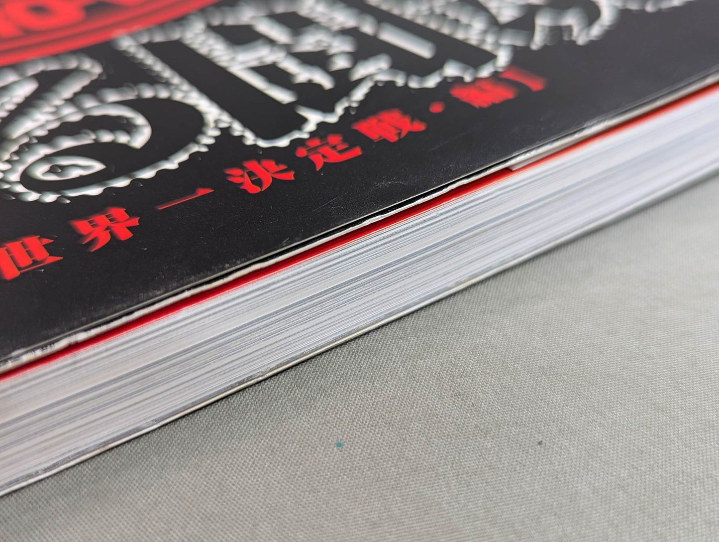 Burning Fighting Spirit New Japan Pro Wrestling Pro-wrestling 30th Anniversary Publication Project Official Reprint Pamphlet Series Martial Arts World Championship Fight