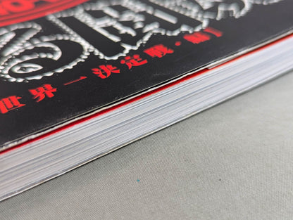 Burning Fighting Spirit New Japan Pro Wrestling Pro-wrestling 30th Anniversary Publication Project Official Reprint Pamphlet Series Martial Arts World Championship Fight