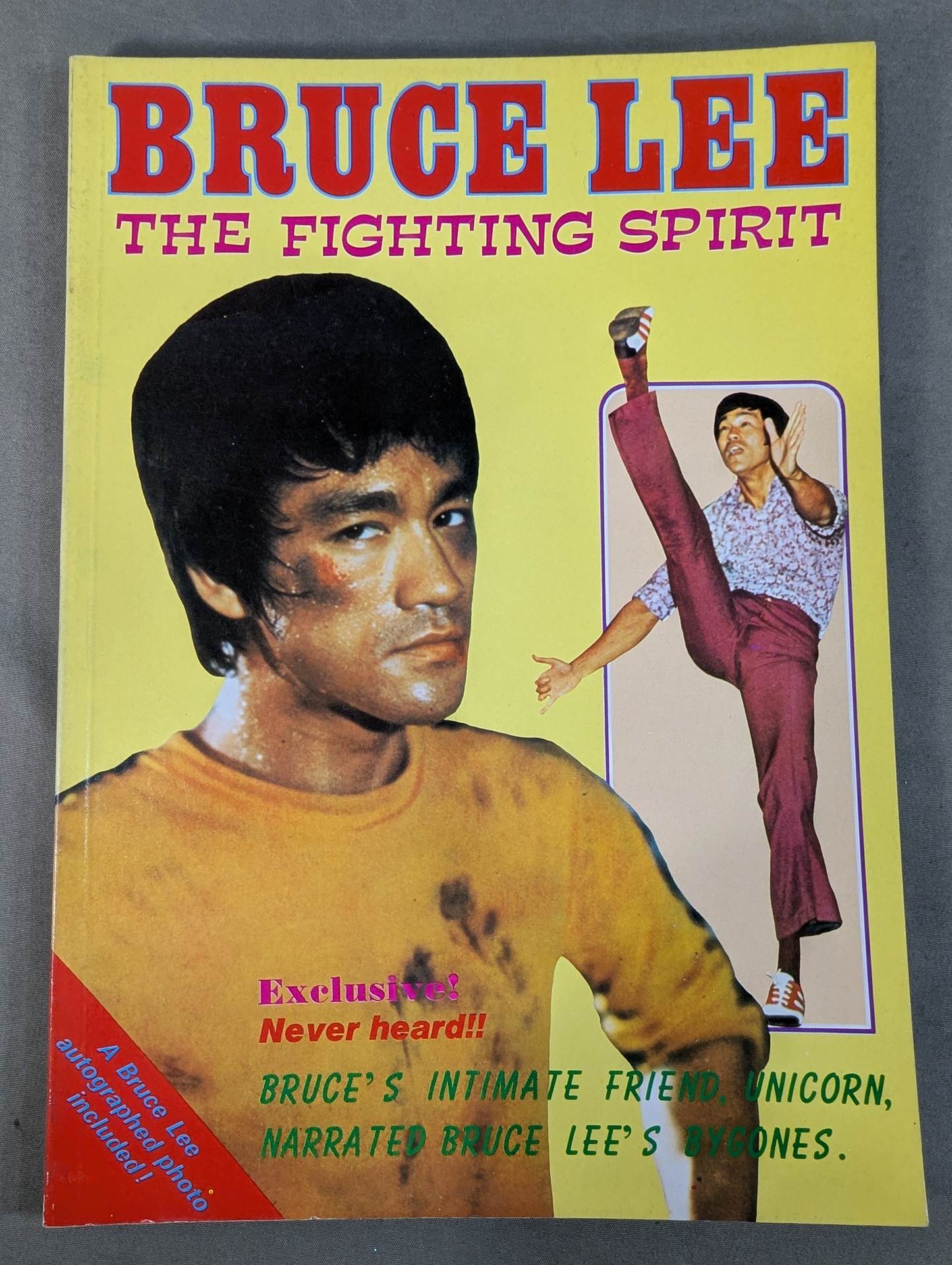 BRUCE LEE THE FIGHTING SPIRIT