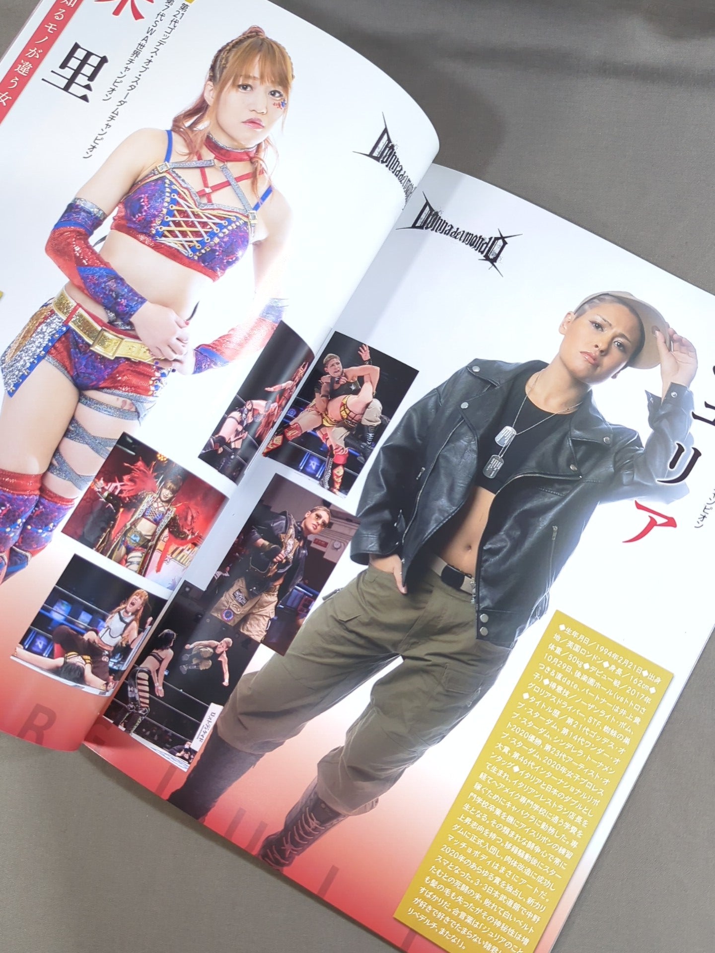 STARDOM OFFICIAL GUIDE BOOK Vol.136