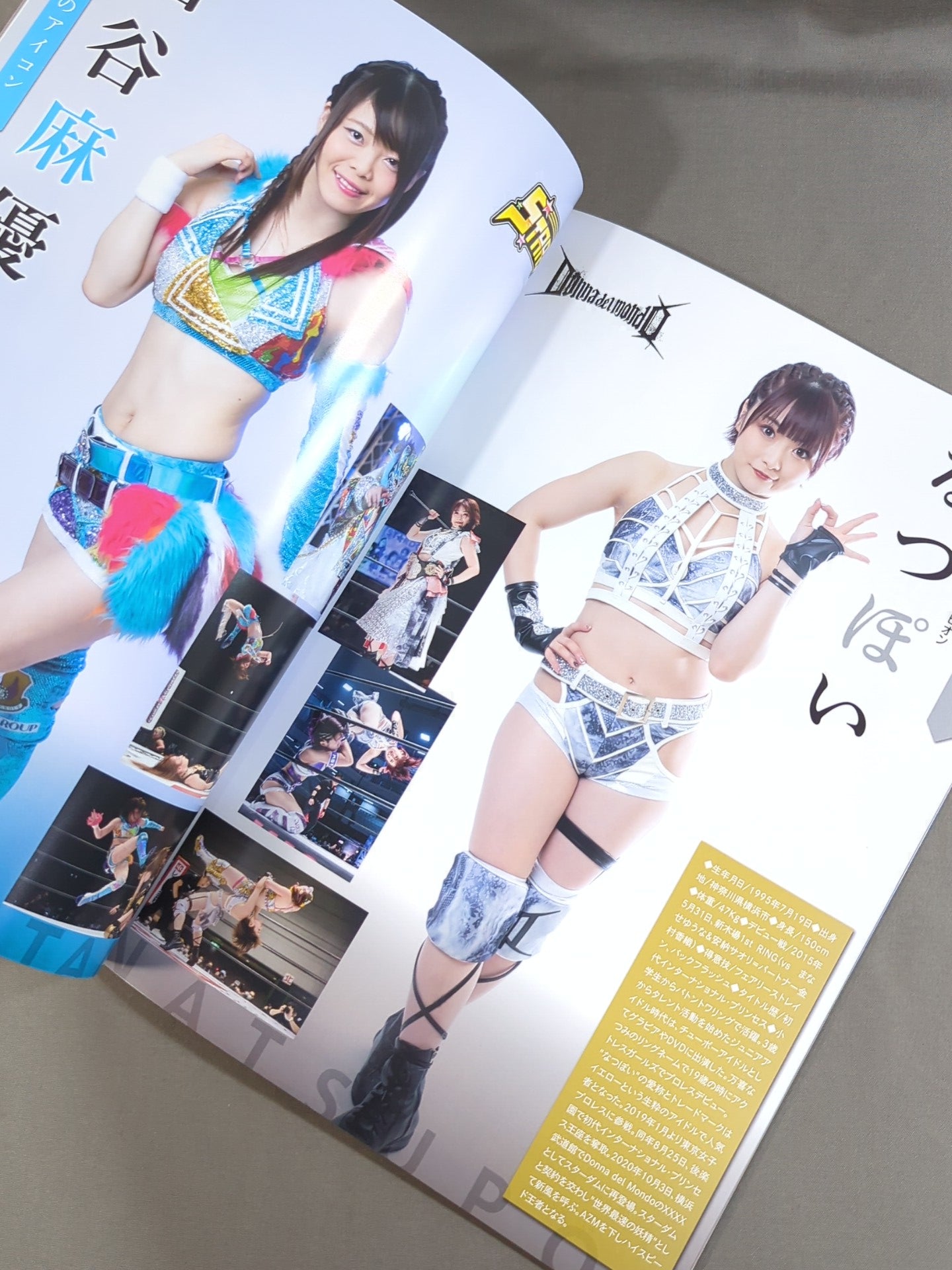 STARDOM OFFICIAL GUIDE BOOK Vol.136