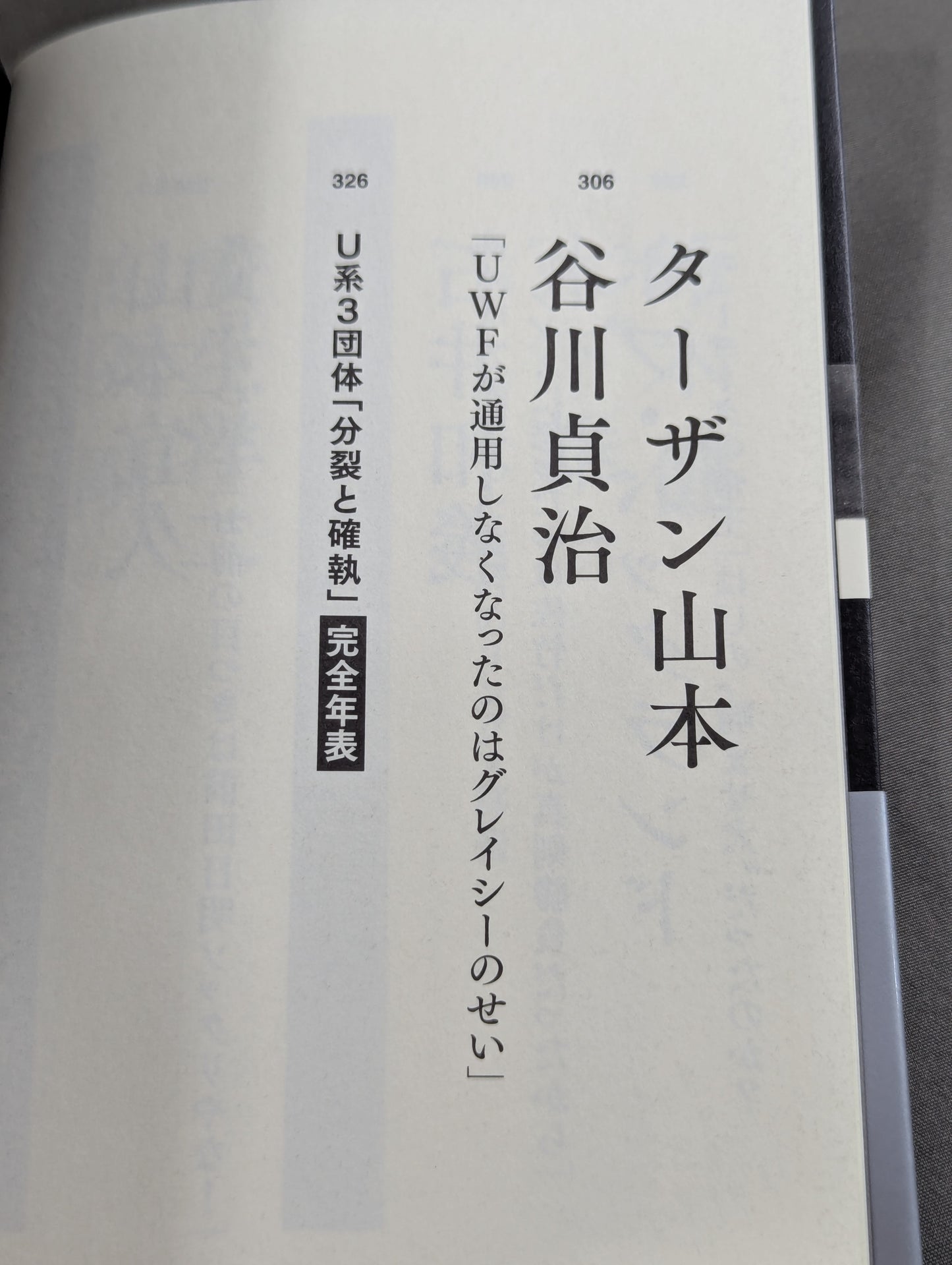 Testimony UWF Final Chapter: The Truth After the Split of the Three Factions