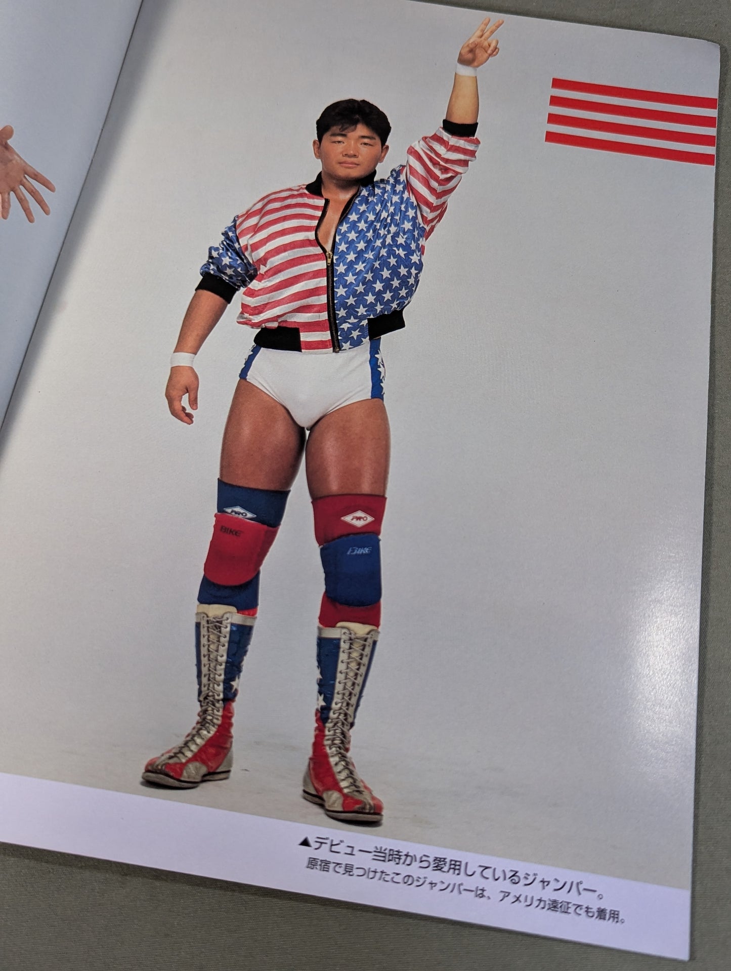 Michinoku Pro Wrestling  Album Vol.2 Terry Boy