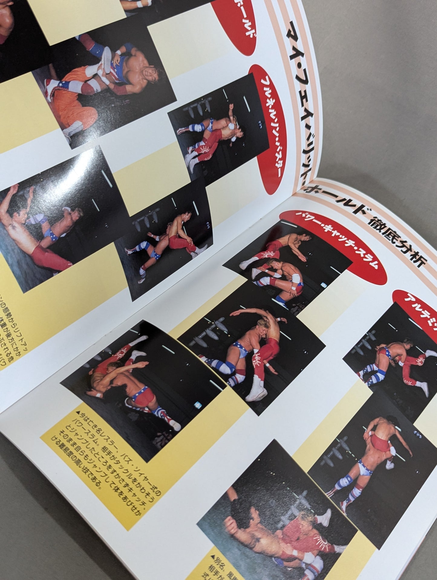 Michinoku Pro Wrestling  Album Vol.2 Terry Boy