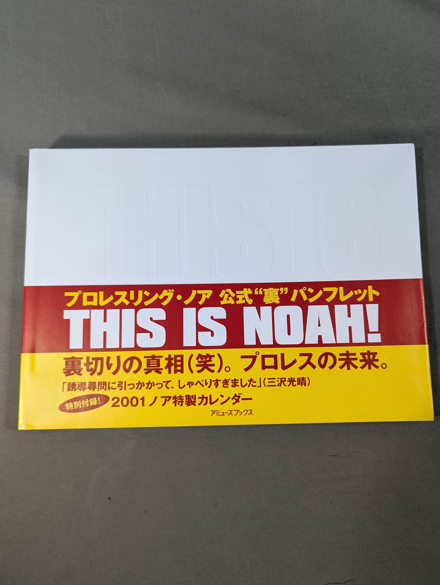 THIS IS NOAH! Pro-wrestling Noah Official "Back" Pamphlet