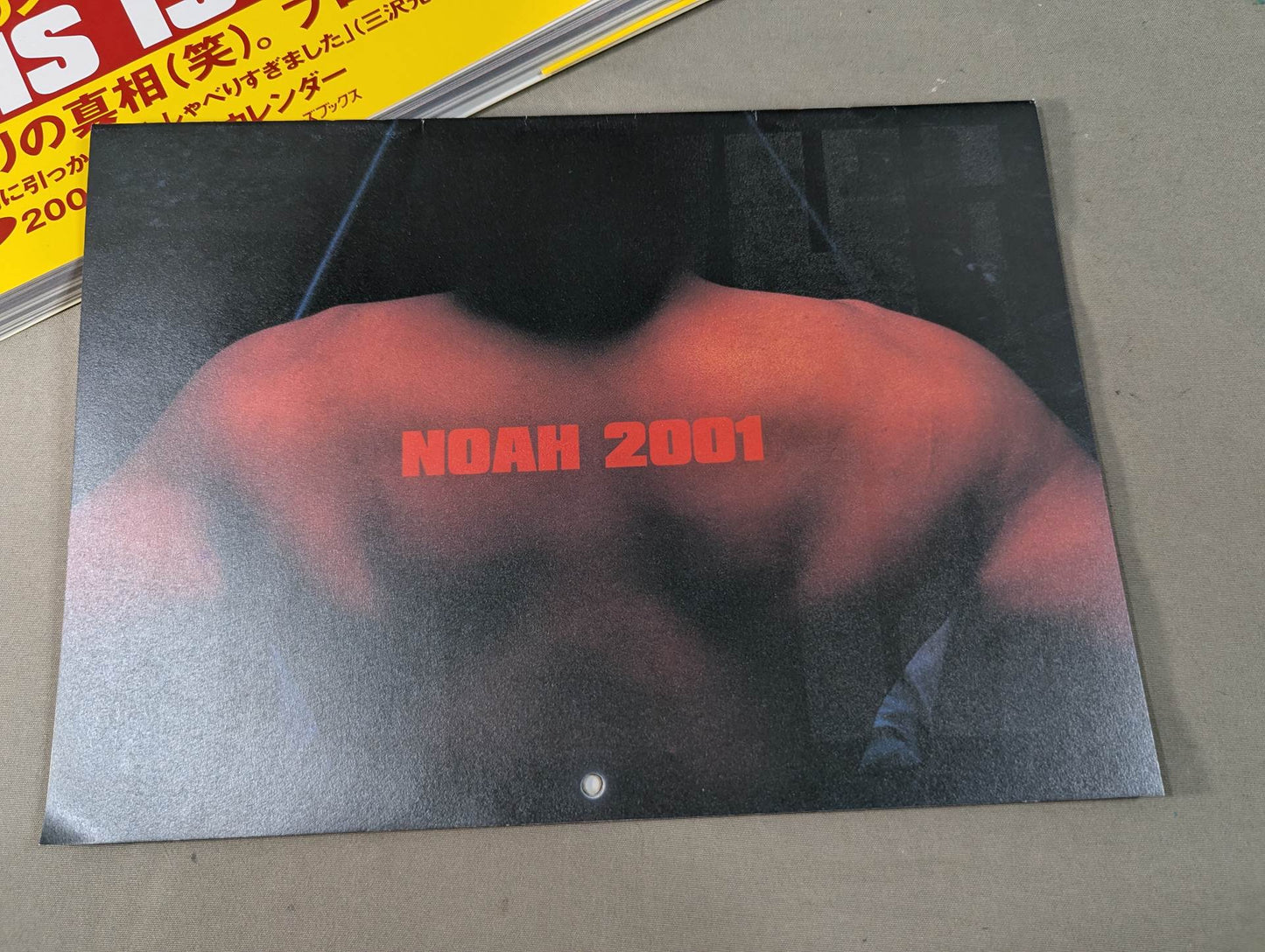 THIS IS NOAH! Pro-wrestling Noah Official "Back" Pamphlet