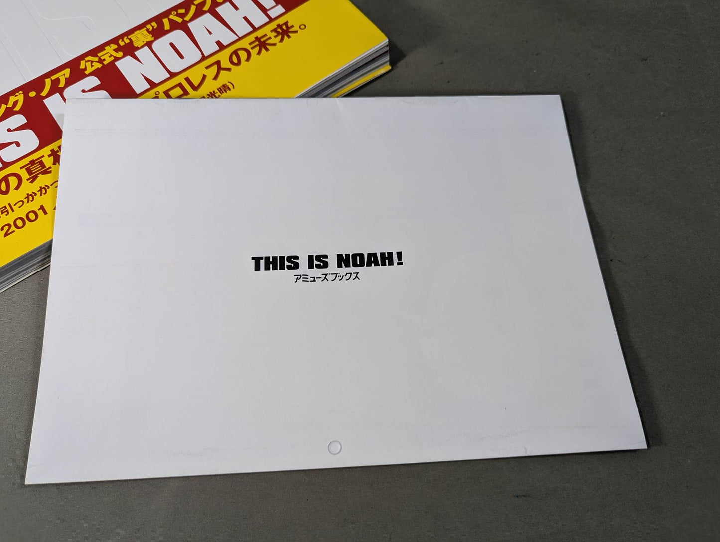 THIS IS NOAH! Pro-wrestling Noah Official "Back" Pamphlet