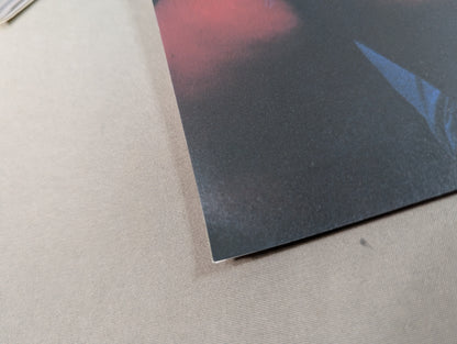 THIS IS NOAH! Pro-wrestling Noah Official "Back" Pamphlet