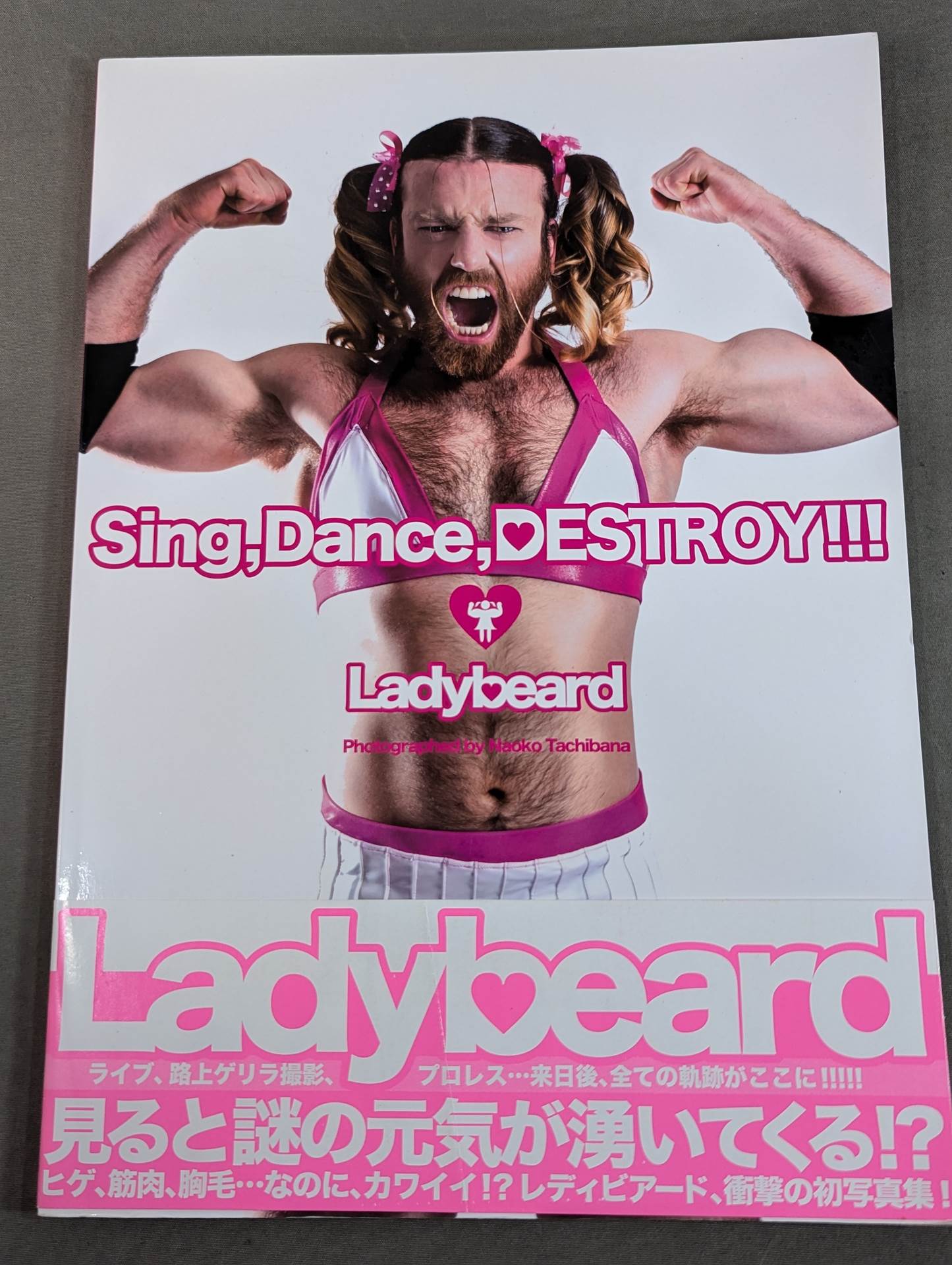Ladybeard photo collection Sing, Dance, DESTROY!!