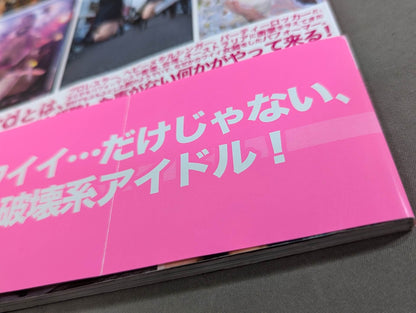 Ladybeard photo collection Sing, Dance, DESTROY!!