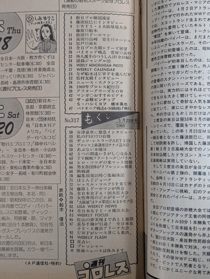 Weekly Pro Wrestling 317