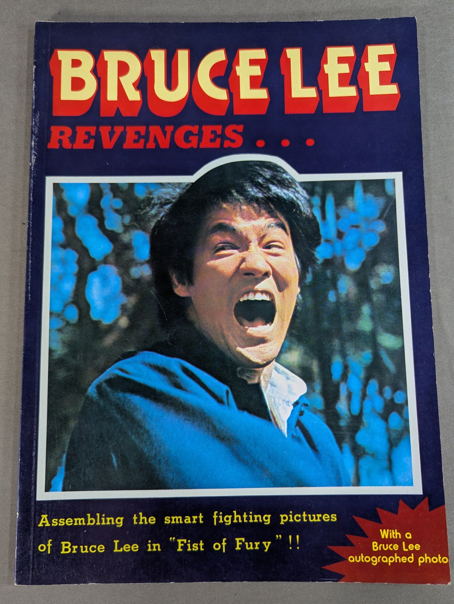 BRUCE LEE REVENGES...