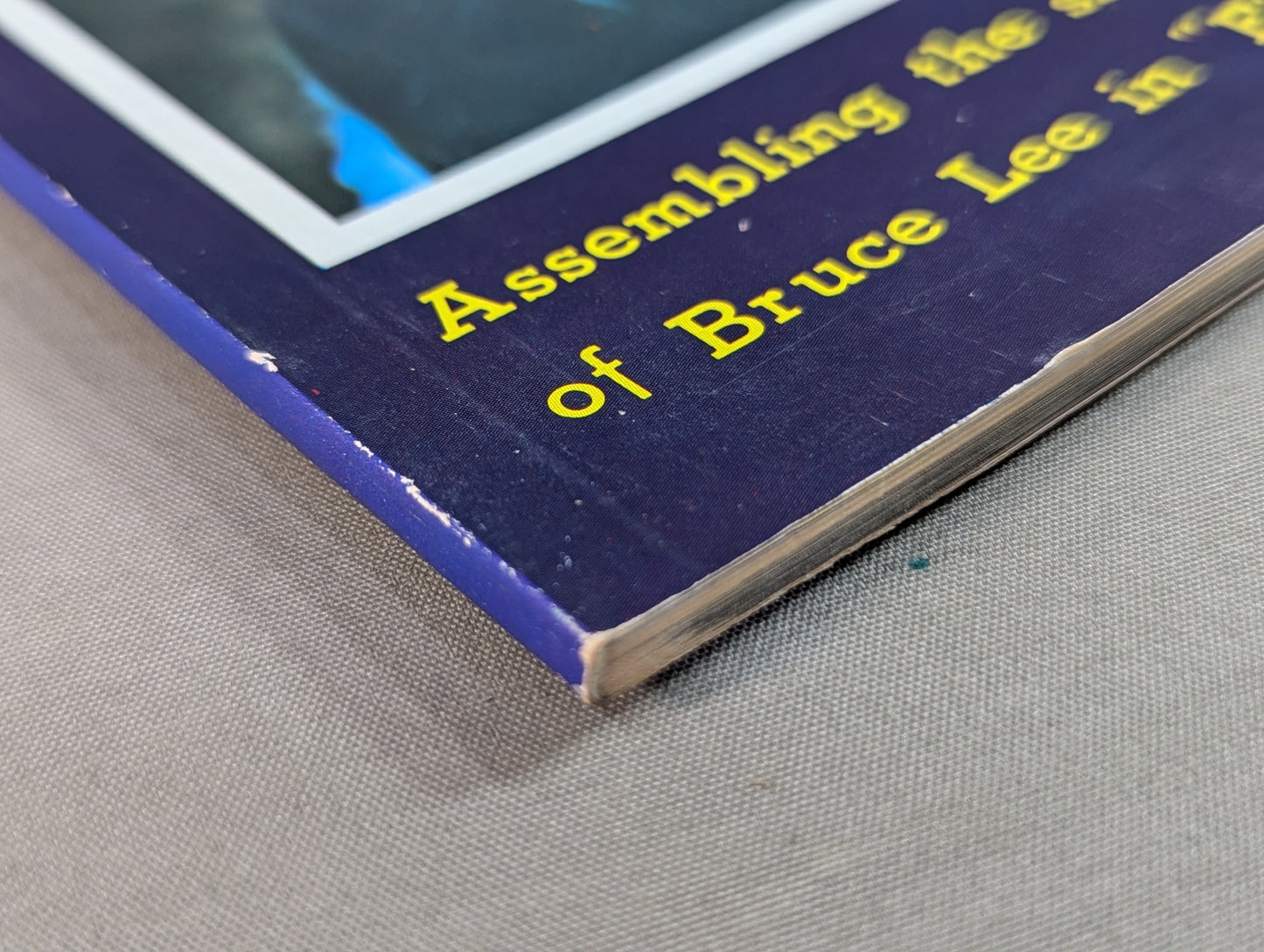 BRUCE LEE REVENGES...