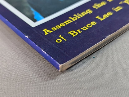 BRUCE LEE REVENGES...